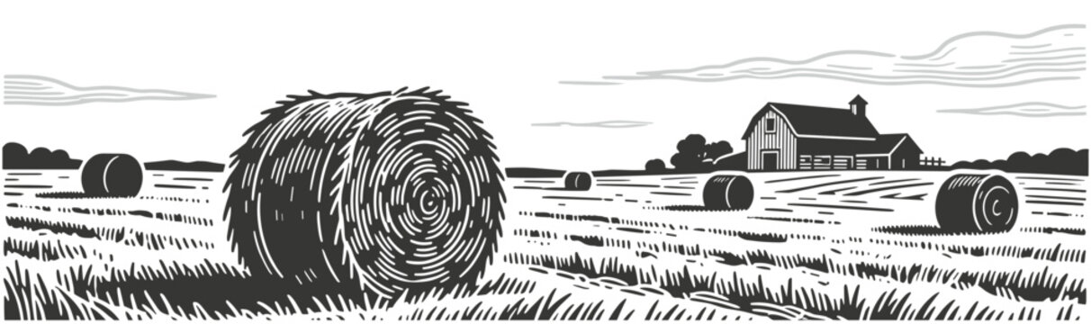 Scattered round hay bales in harvested field with classic barn on serene rural countryside landscape illustration.