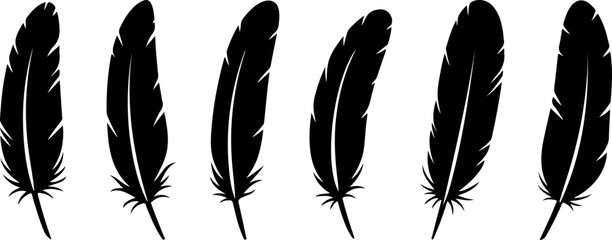 Black Feather Silhouette Set &ndash; Elegant Bird Feather Collection