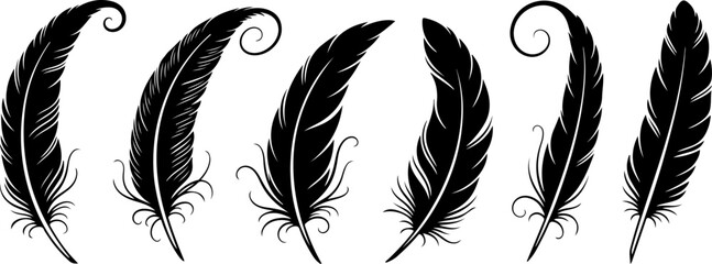 Black Feather Silhouette Set &ndash; Elegant Bird Feather Collection