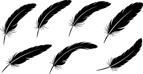 Black Feather Silhouette Set &ndash; Elegant Bird Feather Collection