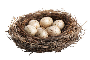 Obraz premium Bird Nest with Speckled Eggs isolated on a transparent background clutch