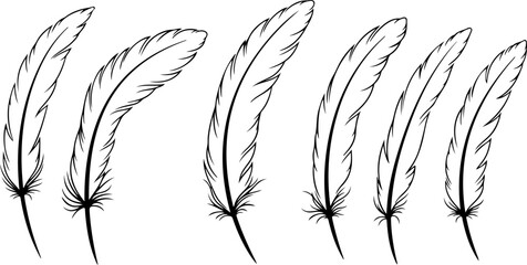 Black Feather Silhouette Set &ndash; Elegant Bird Feather Collection