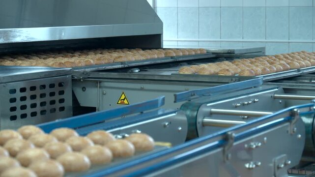 Rapid Roll Manufacturing Process In Place, Highspeed Conveyor System For Bread Packaging Efficiency. Media