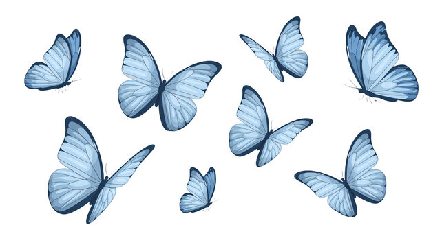 Nine blue butterflies with dark blue edges flying on white background, delicate wings spread wide in various directions, natural scene with insects