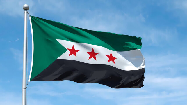 Flag of the syrian democratic forces illustration