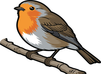 European robin bird vector illustration, orange breasted songbird perched on tree branch.