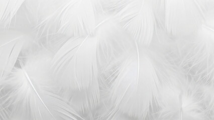 Fototapeta premium Close up white bird feather. Delicate pattern texture of soft down. Purity, lightness, and freedom concept for design element. Cloud Dancer Color of the Year 2026