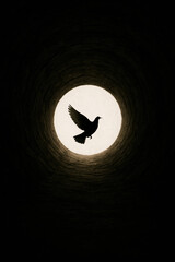 A bird at the end of a dark tunnel.