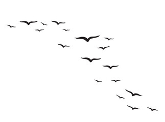 Flying birds silhouettes on a white background. Vector illustration. flock of flying birds isolated 