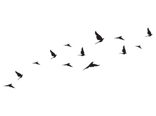 flock of birds, birds in flight, Black vector flying birds flock silhouettes isolated on white background