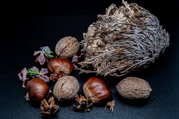 Beautiful still life photos of typical autumn fruits