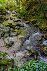 Over millions of years, the Orfento River (in the municipality of Caramanico Terme) has carved out a narrow gorge now covered by dense riparian vegetation featuring willows, ferns, and mosses.