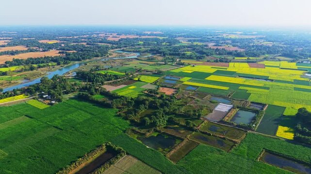 Aerial view of patchwork farmland and mustard fields stretching across rural India beside a winding river