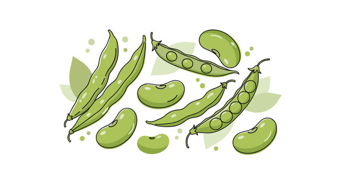 A healthy food illustration of fresh green beans and peas, shown both in pods and shelled, with decorative green leaves.