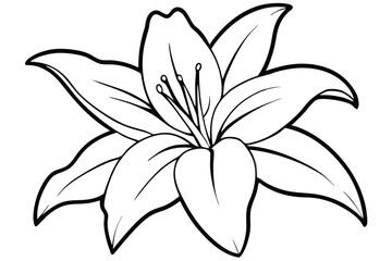 Obraz premium lily silhouette line art vector illustration