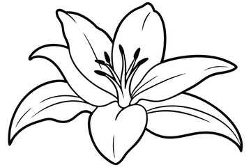 lily silhouette line art vector illustration