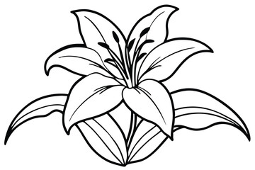 lily silhouette line art vector illustration