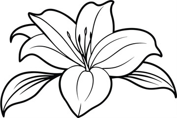 lily silhouette line art vector illustration