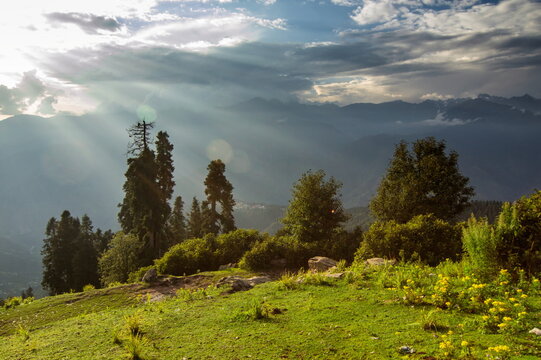 View of sunlight piercing through dramatic clouds over a lush green hillside dotted with trees and wildflowers, Sri Paye, Khyber Pakhtunkhwa, Pakistan.