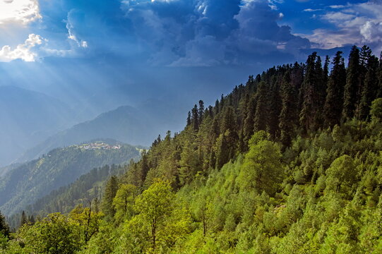 View of a forested mountain slope bathed in sunlight filtering through dramatic clouds, casting shadows across the rugged terrain, Sri Paye, Khyber Pakhtunkhwa, Pakistan.