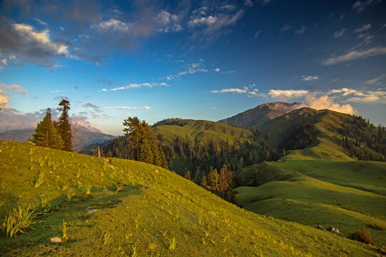 View of rolling green hills under a vibrant sky meet distant, rugged mountains in a serene landscape, Sri Paye, Khyber Pakhtunkhwa, Pakistan.