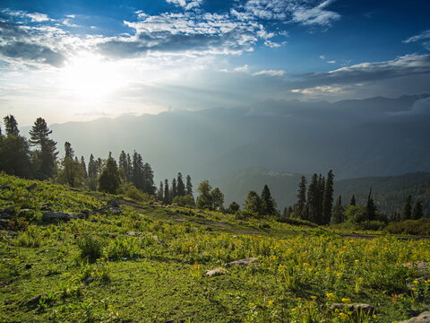 View of sunbeams pierce through the clouds illuminating the green meadow and tall trees in the mountainous landscape, Sri Paye, Khyber Pakhtunkhwa, Pakistan.