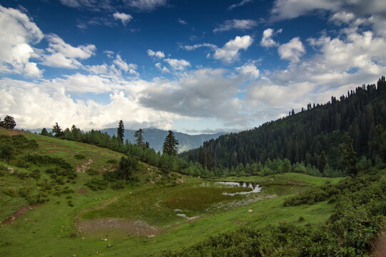 View of lush green hills meeting a serene pond beneath a vast sky dotted with fluffy white clouds, framed by towering pine forests, Sri Paye, Khyber Pakhtunkhwa, Pakistan.