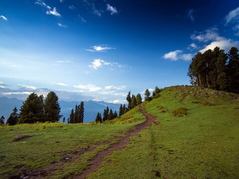 View of a winding path cutting through vibrant green meadows under a vast blue sky dotted with fluffy clouds, Sri Paye, Khyber Pakhtunkhwa, Pakistan.