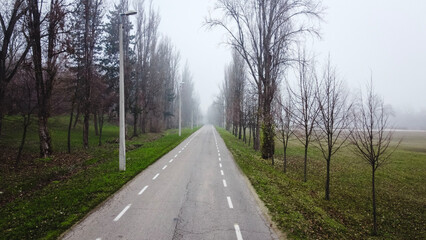 Fototapeta premium Foggy road with bare trees