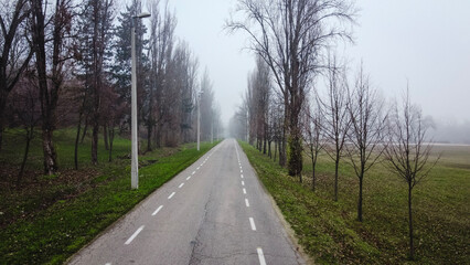 Fototapeta premium Foggy road with bare trees