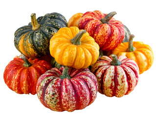 Assorted Autumn Gourds Pile