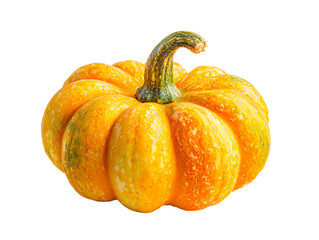 Small ornamental gourd with a curved stem