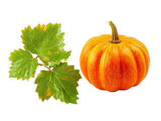 Orange pumpkin and green fall leaf on white