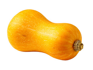 Golden butternut squash with textured skin on white background