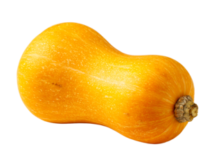 Golden butternut squash with textured skin on white background