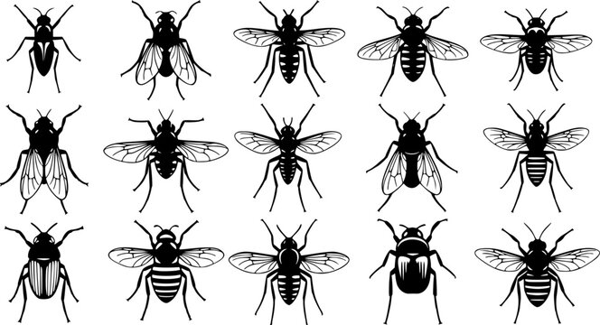 Insect silhouettes collection, fly mosquito bee species, winged bug icon, vector illustration, nature art, entomology design, wildlife fauna, pest control graphic See Less
