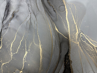 Abstract grey background with gold &mdash; black and white fluid art texture made with alcohol ink and golden potal. Beautiful gray natural art backdrop resembles marble, wing, aquarelle, water, splash.