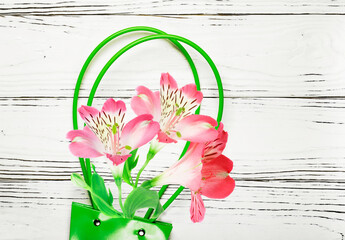 Pink alstroemeria flowers and green gift bag on white wooden background.