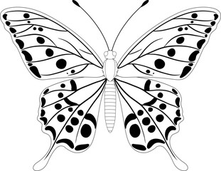 Doodle butterfly. Sketch flying butterflies with beautiful wings. Spring cartoon insects black silhouette. Elegant simple moth clipart. Vector isolated 1.eps © Chinu Akter