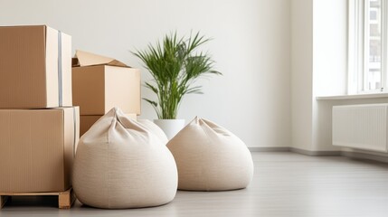 Moving In Cardboard Boxes, Beanbags and Plant in New Home, relocation ,interior