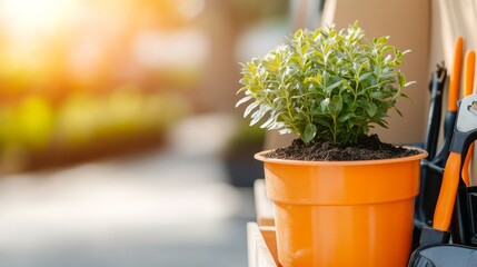 Potted Plant and Tools Spring Gardening Still Life with Lush Greenery, Gardening , Horticulture