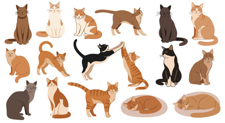 Obraz premium Big collection of various cat breeds in different poses like sitting, stretching, and sleeping for pet lover and veterinary themes.