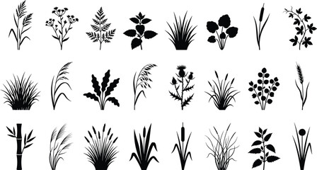 Black botanical silhouette collection with wild meadow grass, weeds, herbs, thistle, reeds, and various field plant elements for nature vector illustration design project,