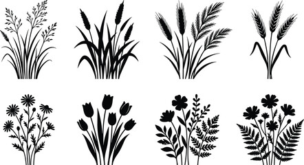 Black floral silhouettes of meadow grass, wild flowers, tulips, daisies, and wheat stalks collection for botanical nature design and spring vector decoration,