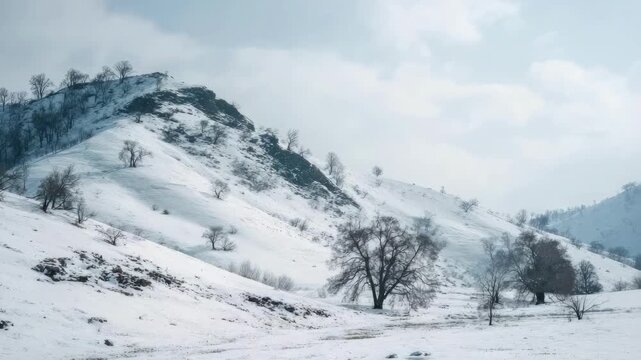 Snow-covered hillside with scattered bare trees and a rocky outcrop under a pale, cloudy sky.