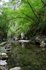 Obraz premium small clean mountain river