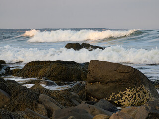 Rocky Atlantic Ocean Coast with Seaweed, Barnacles, and Crashing Waves in Maine