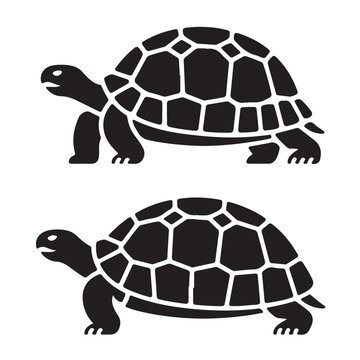 Turtle Vector Illustration in Flat Style