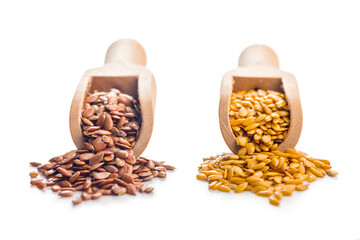 Golden and brown linseed or flaxseed. Healthy flax seed in scoop isolated on white background.