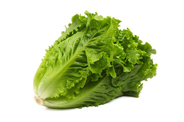 Fresh green lettuce head on white background isolated on a transparent background